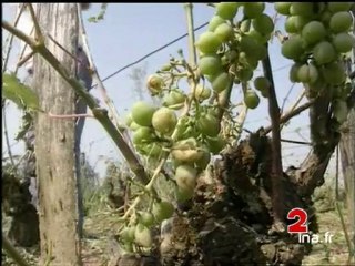 JA2 20H : émission du 15 juillet 1994