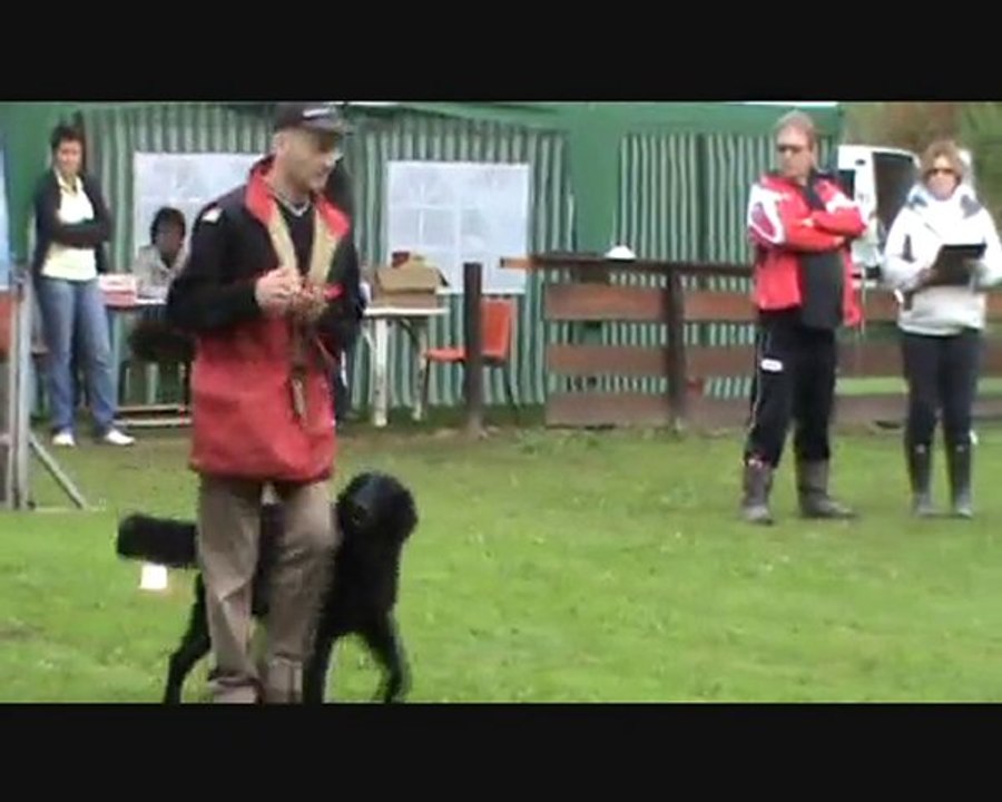 concours d'OB niveau 1