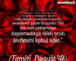 TEVBE ve ALLAH’TAN AFFEDİLMEYİ İSTEMEK-18
