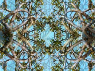 Samedi 17 avril 2010 à 17h26