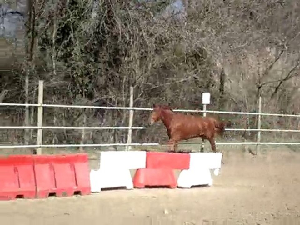 QUESAKO LIBERTE 2