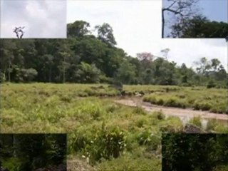 MOMBA SUITE 4 PAR HELENE