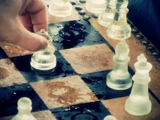 Café DV 2010 : Chess Men - Shiba Corp