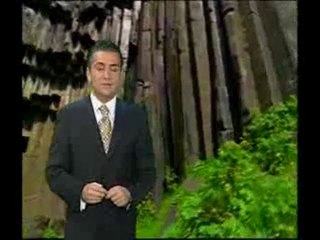 Yapraklar ve altın oran