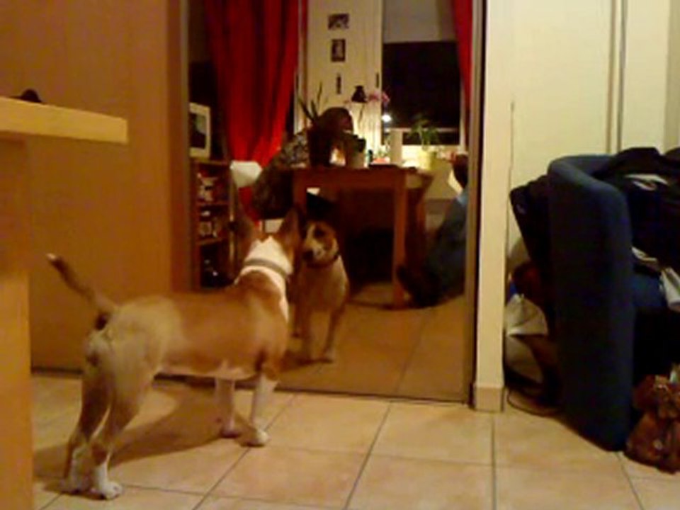 Fanny devant le miroir