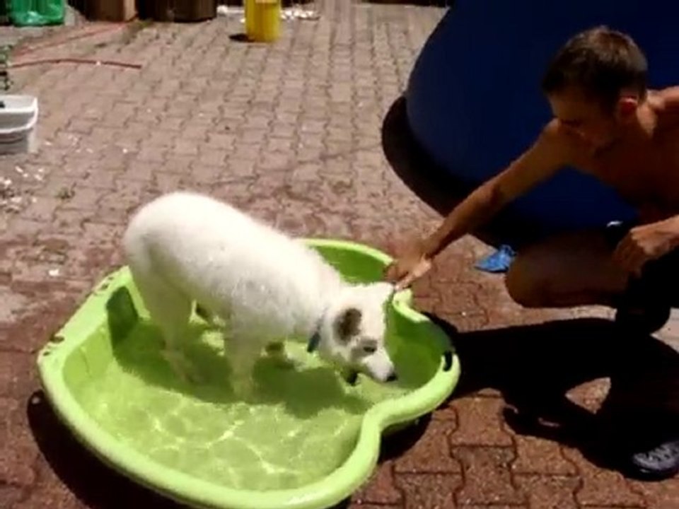3 Juillet 2010 - Fiorra profite de sa piscine