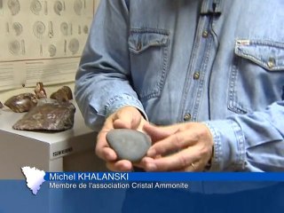 jeudi 21 octobre 2010 - le journal des Yvelines