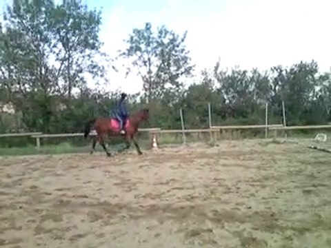 Séance du 22 octobre 2010