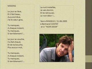 BERTRAND CANTAT : APRES LA FIN ...