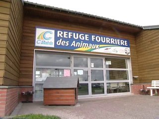 Calaisis TV: L'oeilleton: LPA les actions épisode 5