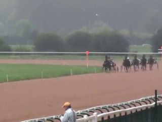 universal garden au qualif dans la 2eme partie du parcours