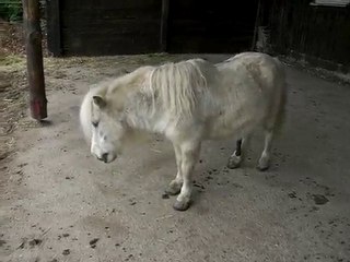 sans commentaires.....