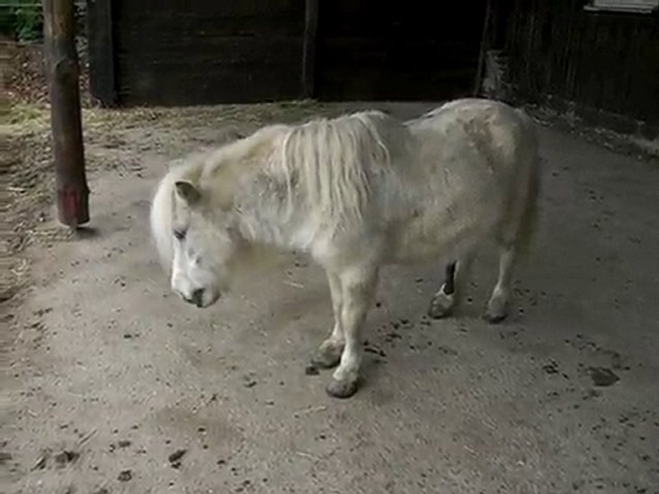 sans commentaires.....