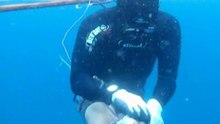 Spear3_Flores_082010