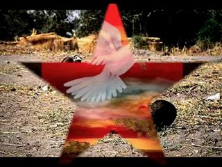 Africa nuestros hermanos