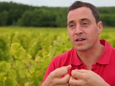 ITW Vigneron - Vendanges 2010 - Thomas Dejean