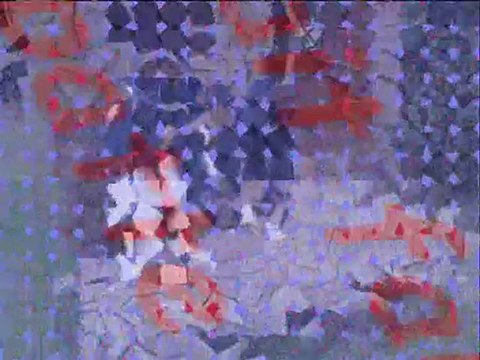 Féline,Bouba,mes perruches et Bouba