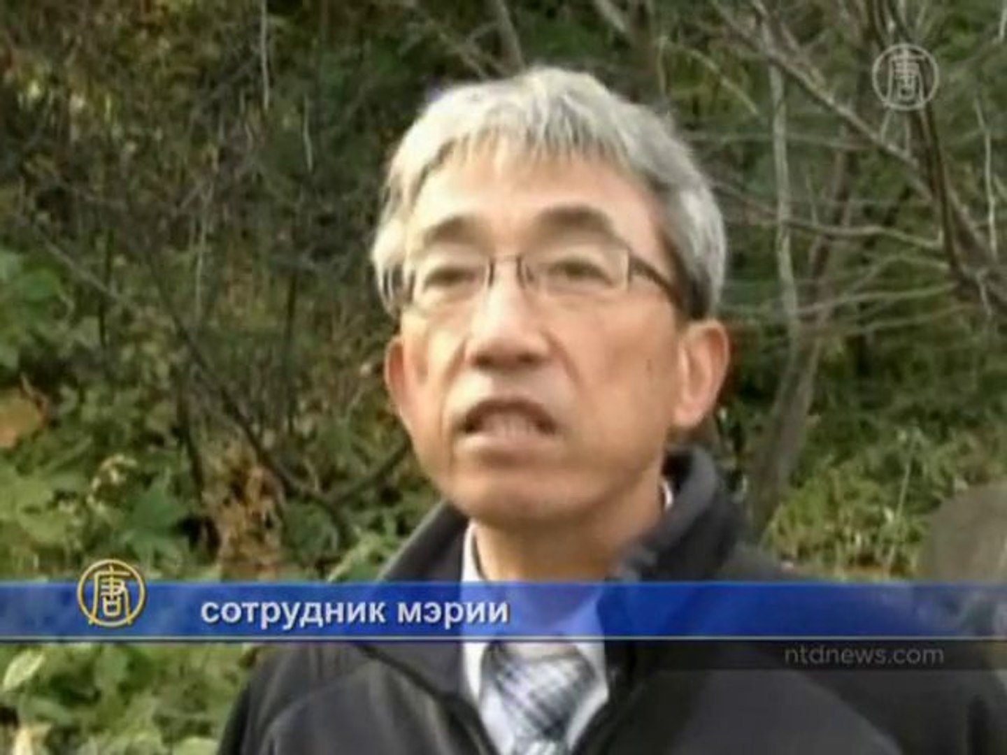 ⁣Дикие медведи переполошили японский городок