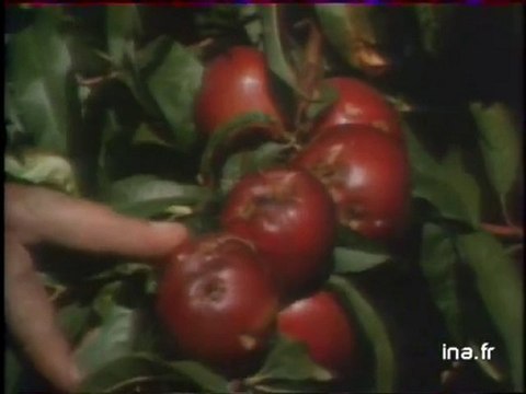 Ja2 20h : émission du 27 juillet 1977