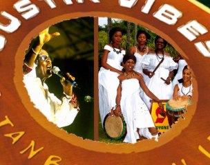 Festival Acoustik VIBES 2010