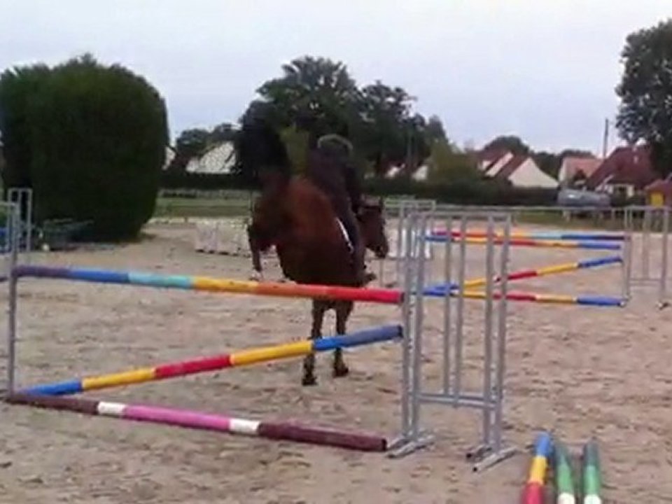cheval 10 ans