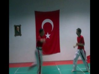 VASEKA DÖVÜŞ SANATI