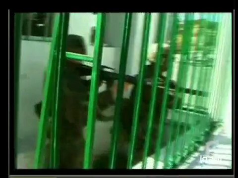 20 heures le journal : [émission du 08 mars 2004]