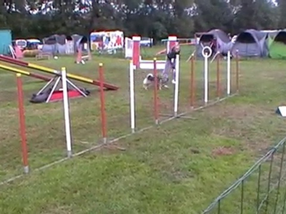 Belleville 2010 1er degré Séréna et Démon