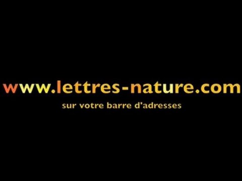 THÉÂTRE . COURS - ACCUEILLIR - DAVID BALY PROF DE THÉÂTRE