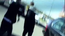 Раскрытие тайны появления волков в Москве!