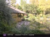 Redécouvrez le jardin japonais de Compans-Caffarelli