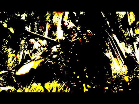 Call of Duty 7, Read Free Online Forum & Discussions, ...