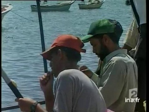 20 heures le journal : [émission du 28 Juin 2003]