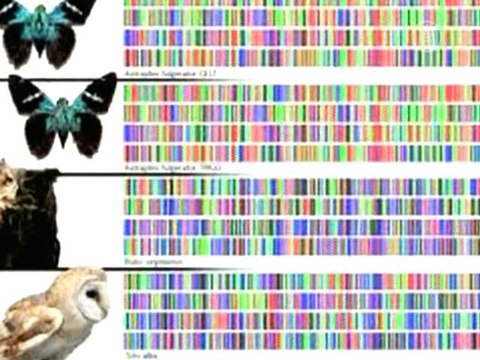 Генетическая библиотека поможет сохранить природу