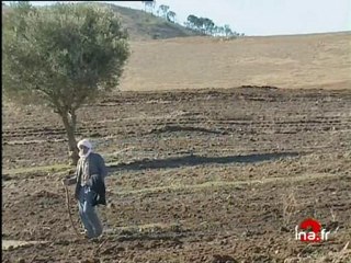 JA2 20H  EMISSION DU 14 JANVIER 1999