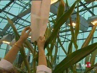 JA2 20H  EMISSION DU 24 JUIN 1999