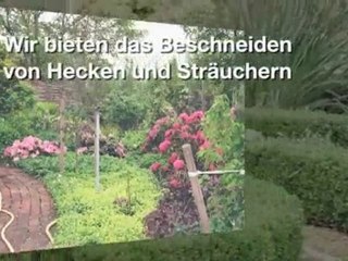 Efeu-Pflanzen Deutschland Wiesenburg / Reetz ...