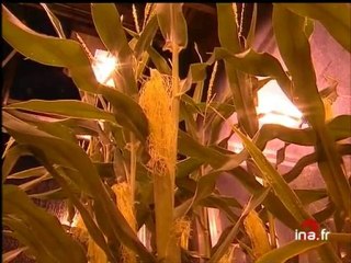 JA2 20H  EMISSION DU 01 MARS 1998