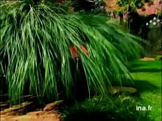 JA2 20h : émission du 10 avril 1998