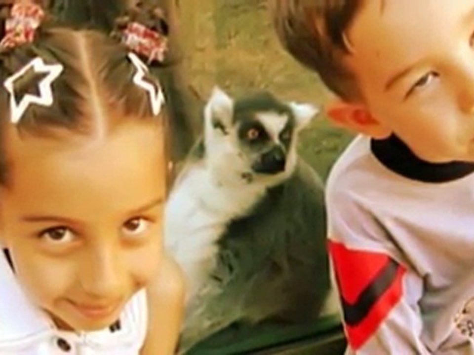 Ural Giray Celikcan - bu kalpler seni unutmayacak