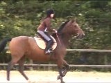 CSO 80cm Virginie & Macao