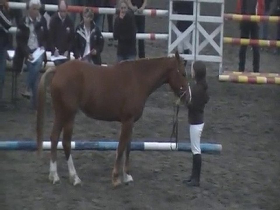 presentation  3 ans tanagra