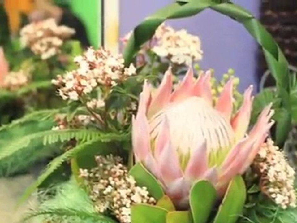 Florists Coorparoo Chatsworth Coorparoo Art Florists QLD