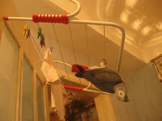 Вова сушится