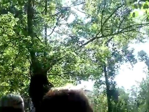 Les Marais de Coulon 090810