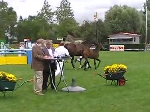 Ermione et double Magic Concours de Foals Nieuwpoort août 20