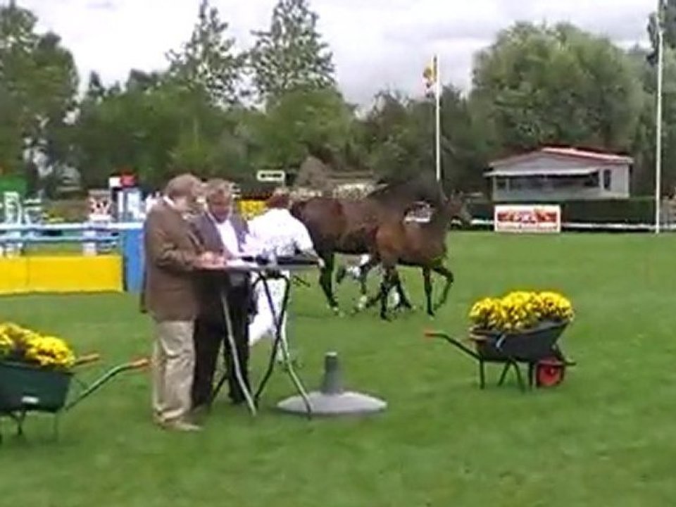 Ermione et double Magic Concours de Foals Nieuwpoort août 20