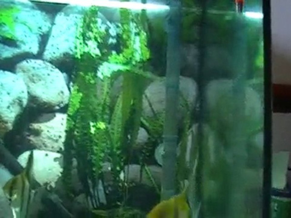 MOV07A