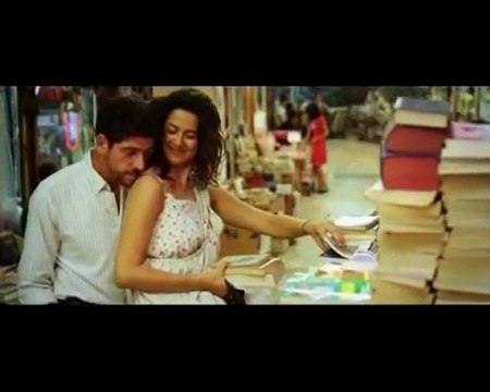 Ayla Dikmen - Anlamazdın - Issız Adam