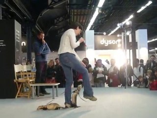 Présentation furet, animal expo